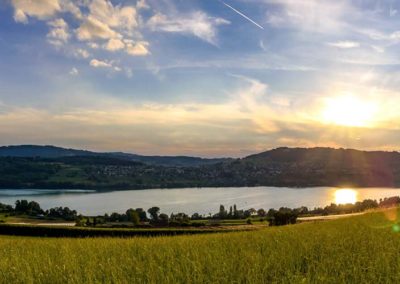 Aussicht-bettwil-freiamt-hallwilersee